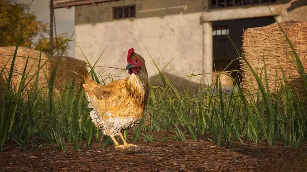the-patch-that-taught-me-to-fear-smoke-chickens-and-deep-water-image-2
